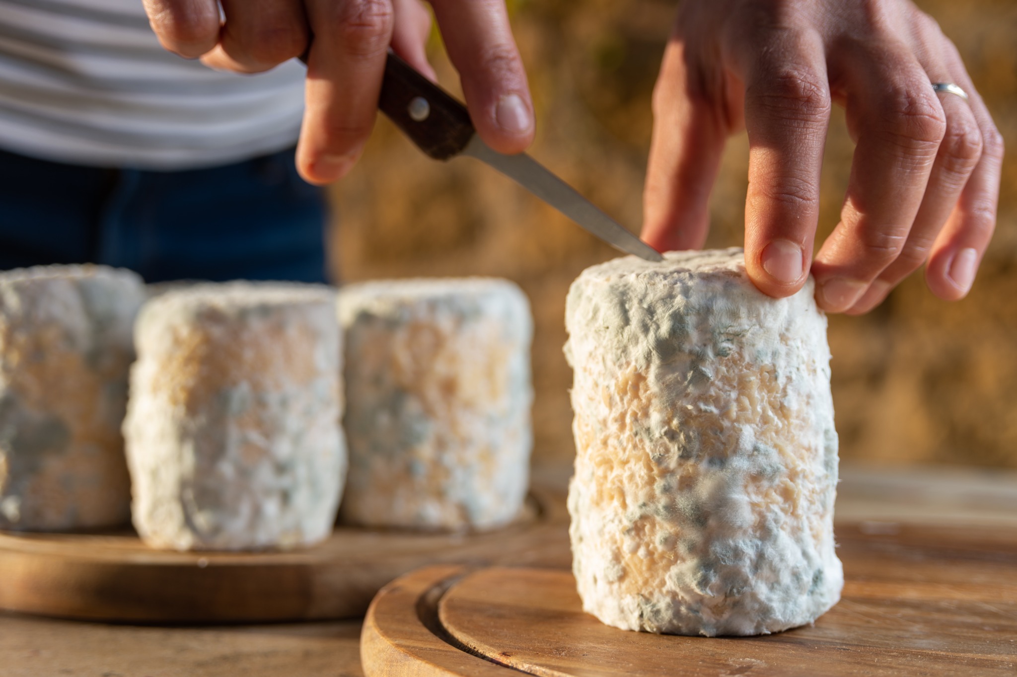 Illustration de l’article « Saône-et-Loire : au pays du Charolais, un Département qui refuse de lâcher son agriculture » — Agriculture